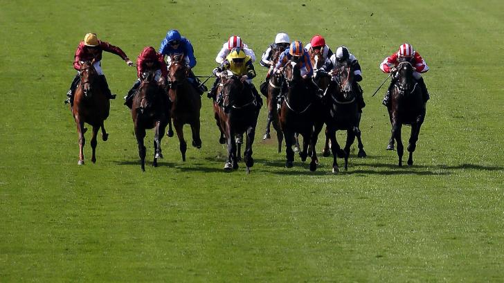 Newmarket July Course